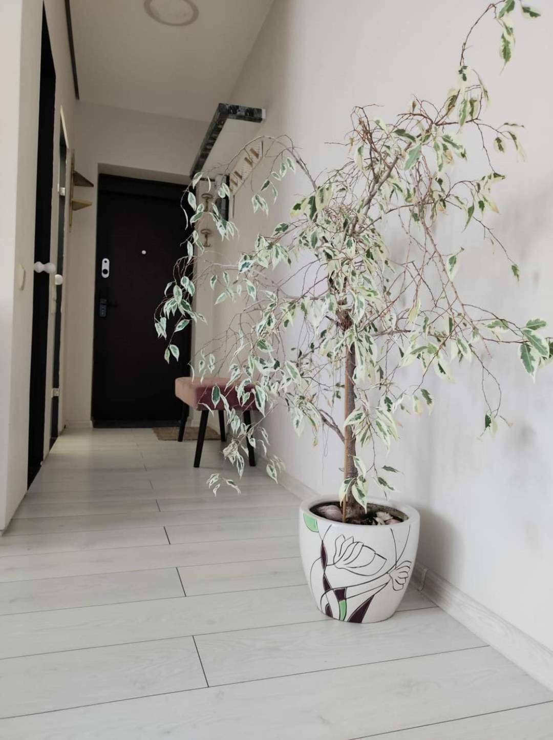 Apartamentai Miesto Centre Šiauliai Exteriör bild